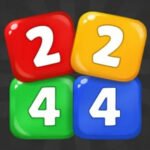 2244 Number Match