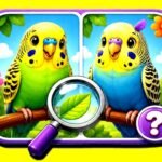 Budgie Spot the Difference