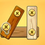 Nut Bolt Screw Puzzle Game